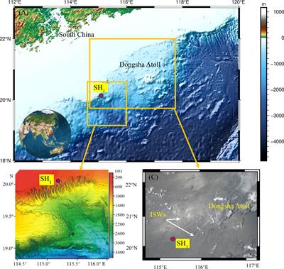 The impact of internal solitary waves on deep-sea benthic organisms on the continental slope of the northern South China Sea